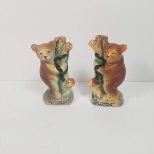 Vintage Salt Pepper Shakers Bears, No Hugging Allowed, Tree Trunk Bear